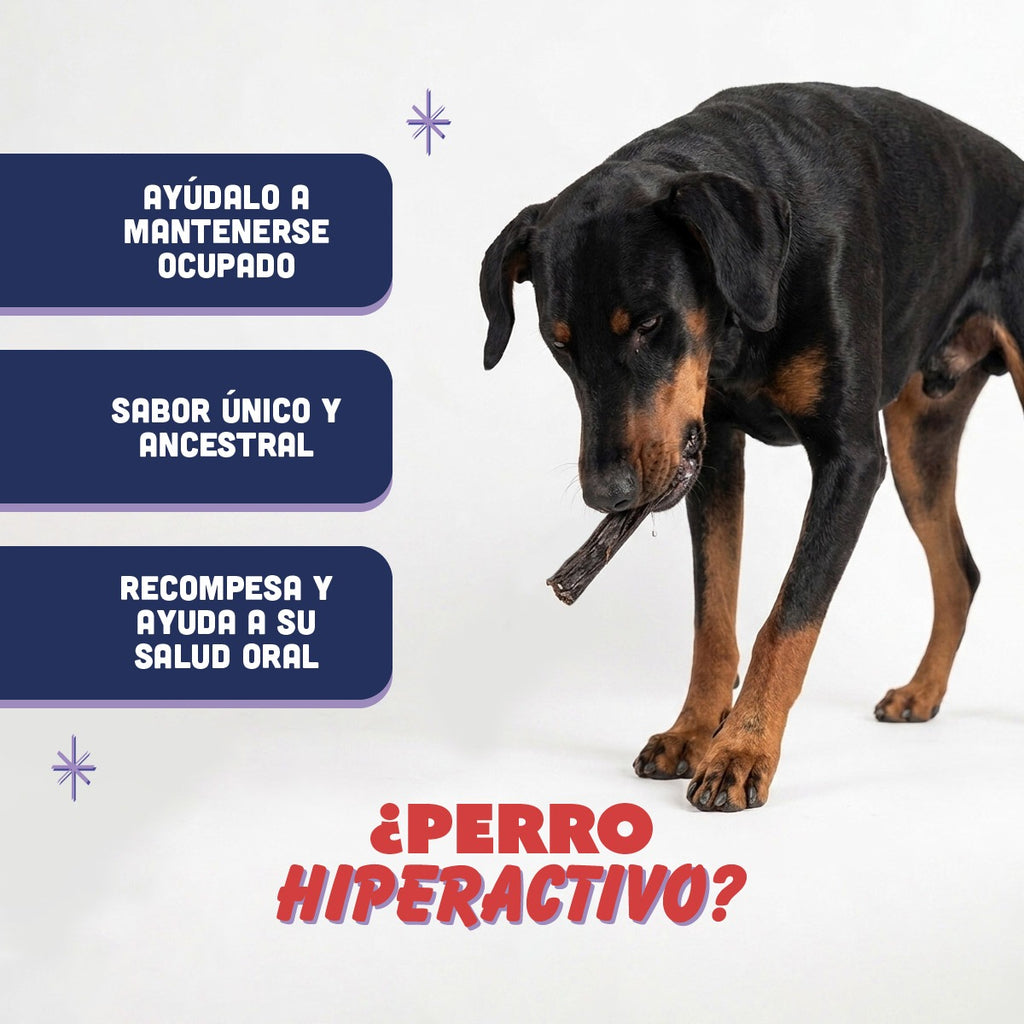 🐶 Hígado de Res PANXO 100% Natural | Snack Premium para Perros | 150g