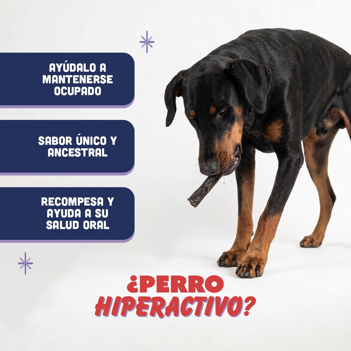 🐶 Hígado de Res PANXO 100% Natural | Snack Premium para Perros | 150g