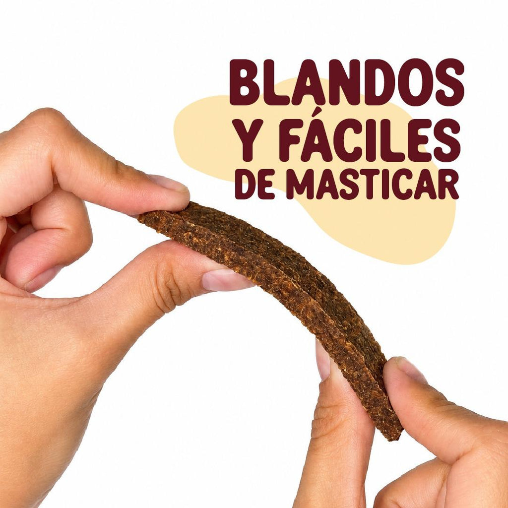 🐶 Tiras de Carne Tentempié | Snack Natural para Perros | 70 g
