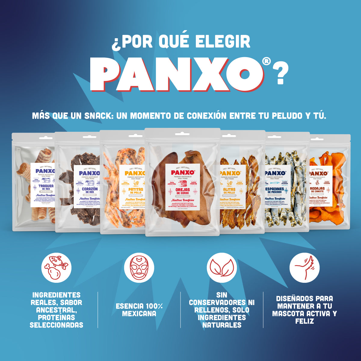 🐟 Espadines de Pescado PANXO 100% Natural | Snack Premium para Perros | 150g