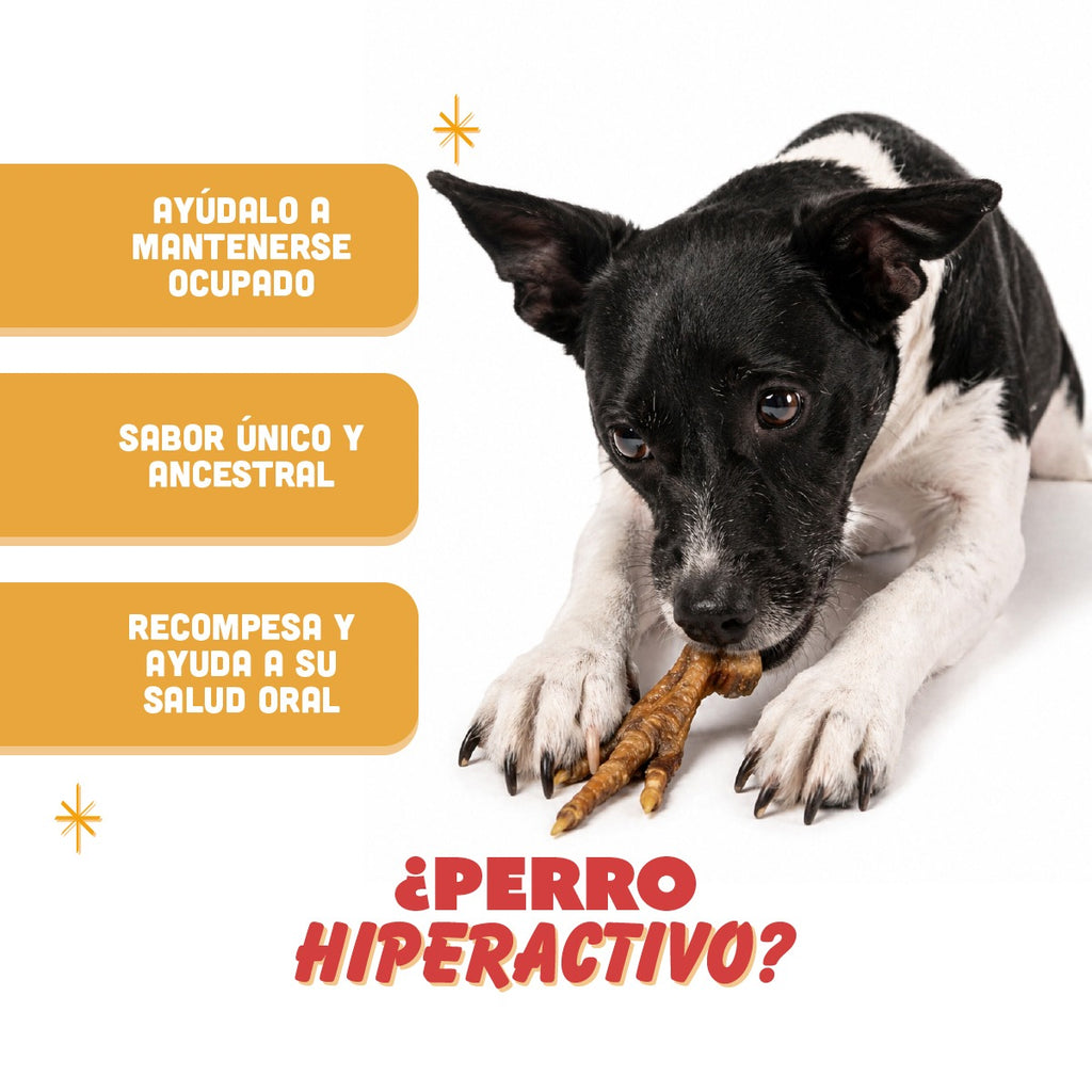 🐶 Patas de Pollo PANXO 100% Natural | Snack Premium para Perros | 150g