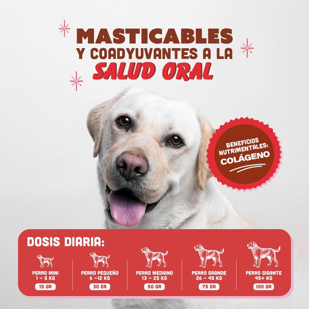 🐷 Oreja de Cerdo PANXO 100% Natural | Snack Premium para Perros | 150g