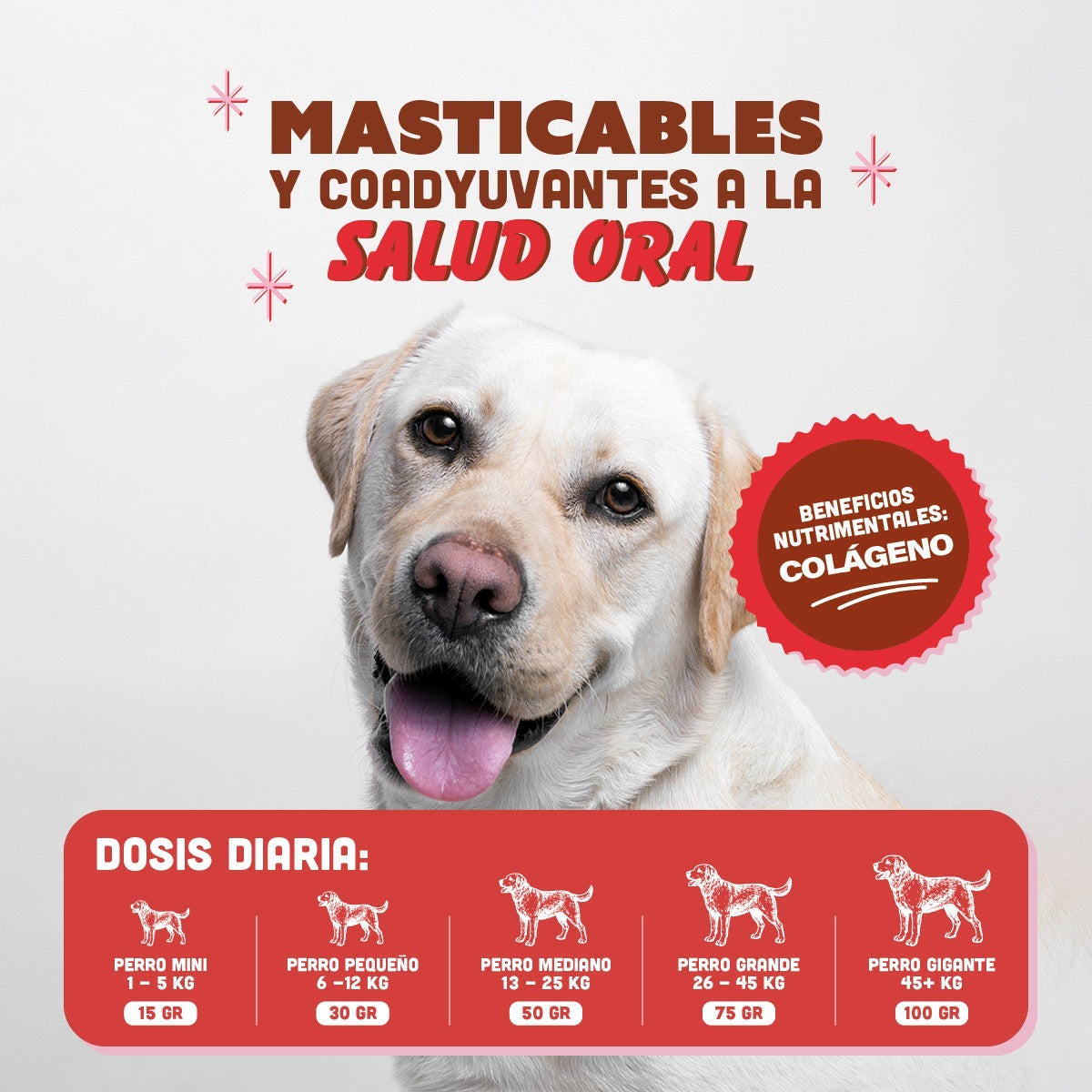 🐷 Oreja de Cerdo PANXO 100% Natural | Snack Premium para Perros | 150g