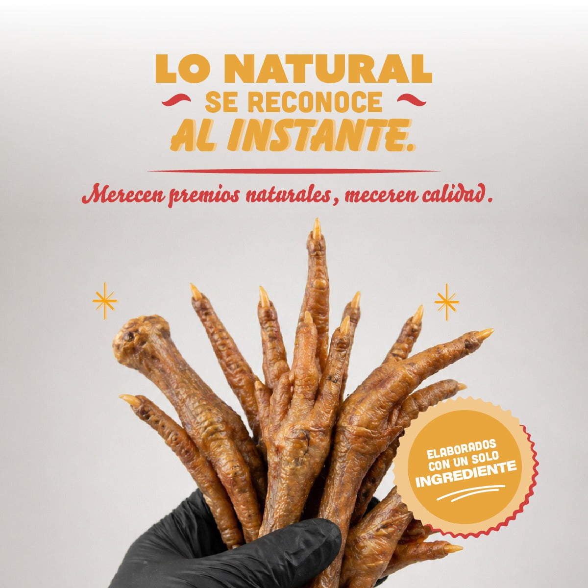 🐶 Patas de Pollo PANXO 100% Natural | Snack Premium para Perros | 150g