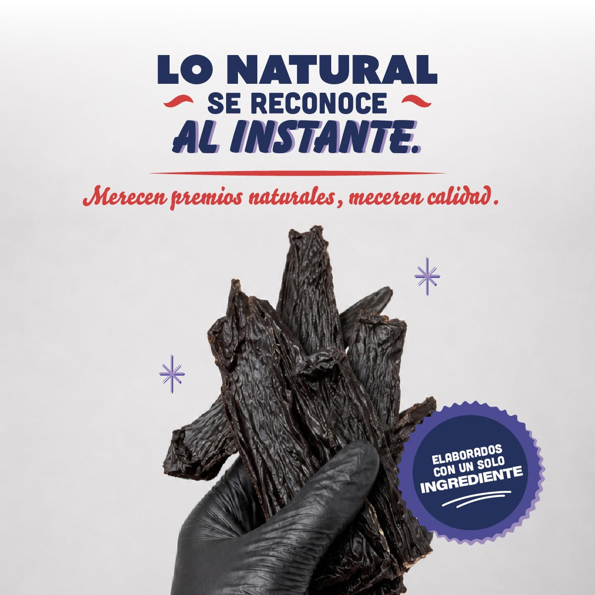 🐶 Hígado de Res PANXO 100% Natural | Snack Premium para Perros | 150g