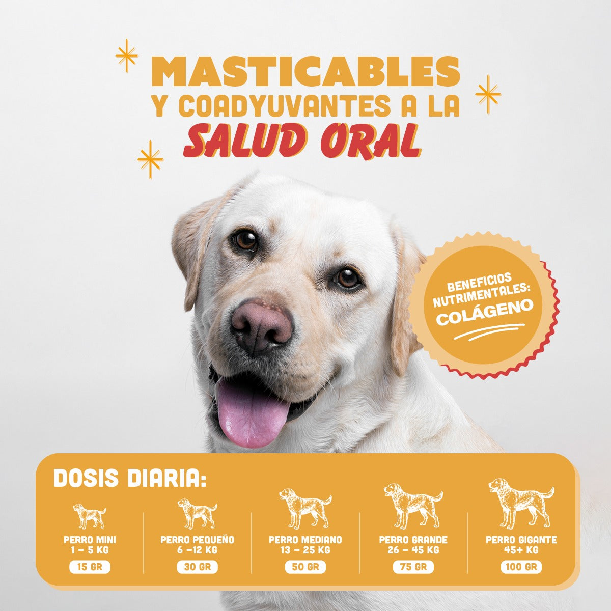 🐶 Patas de Pollo PANXO 100% Natural | Snack Premium para Perros | 150g