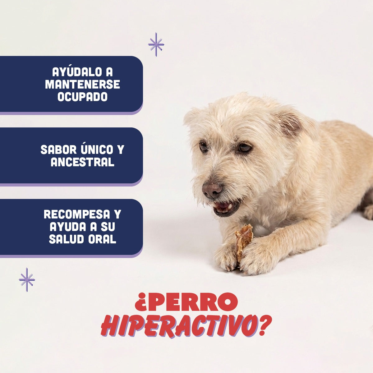 🐄 Tráquea de Res PANXO 100% Natural | Snack Premium para Perros | 150g