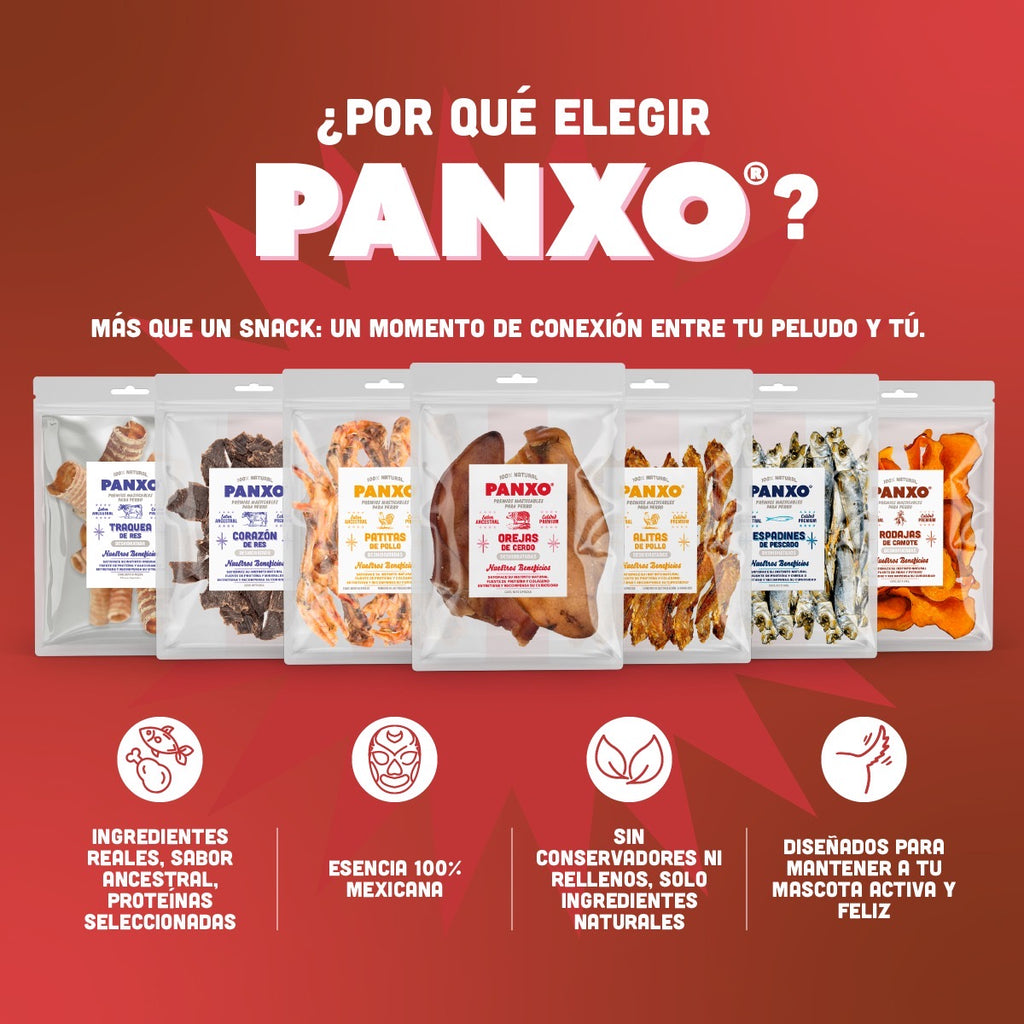 🐷 Oreja de Cerdo PANXO 100% Natural | Snack Premium para Perros | 150g