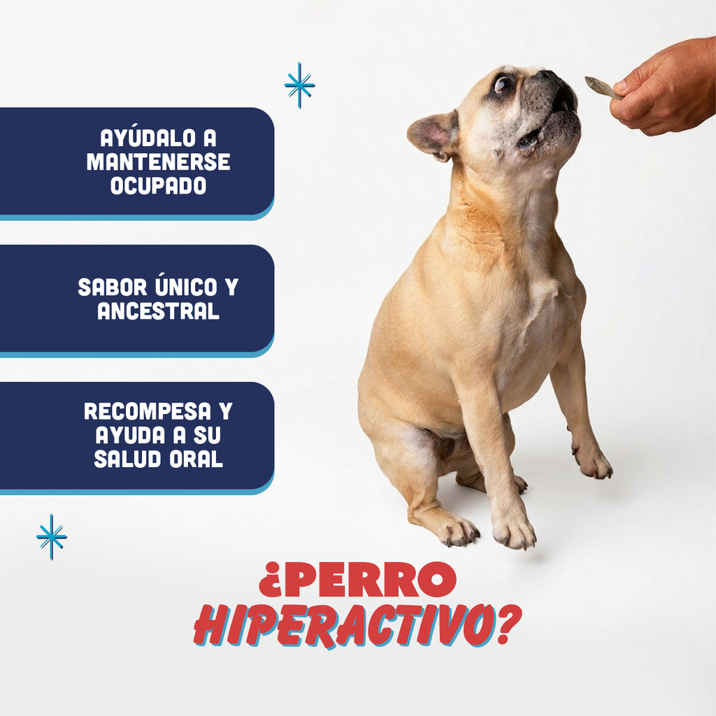 🐟 Espadines de Pescado PANXO 100% Natural | Snack Premium para Perros | 150g