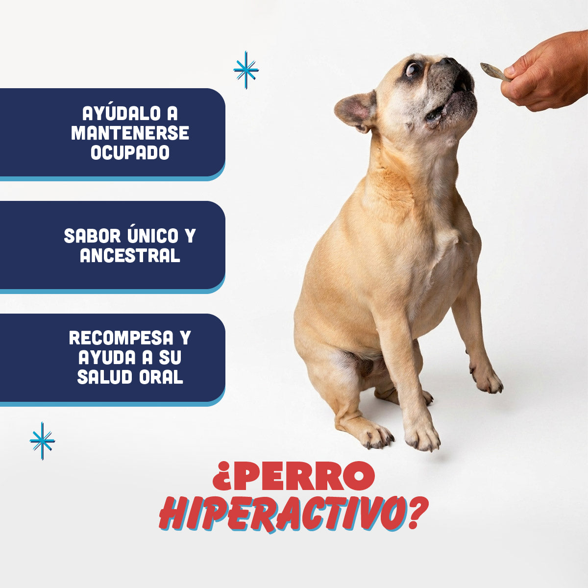 🐟 Espadines de Pescado PANXO 100% Natural | Snack Premium para Perros | 150g