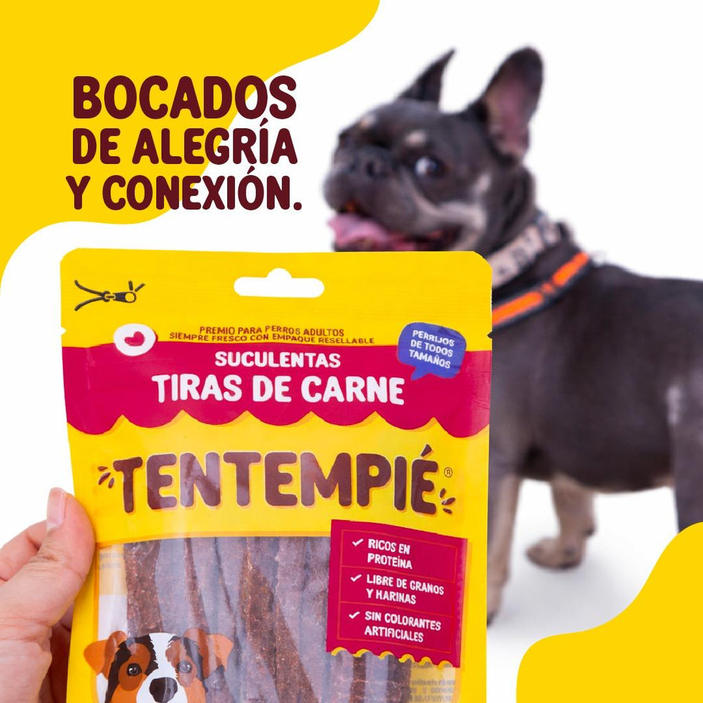 🐶 Tiras de Carne Tentempié | Snack Natural para Perros | 70 g