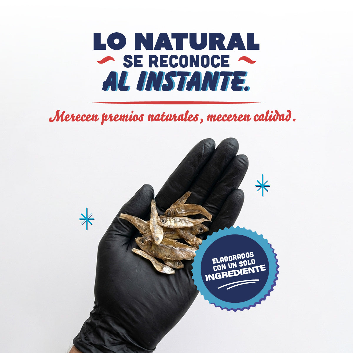 🐟 Espadines de Pescado PANXO 100% Natural | Snack Premium para Perros | 150g