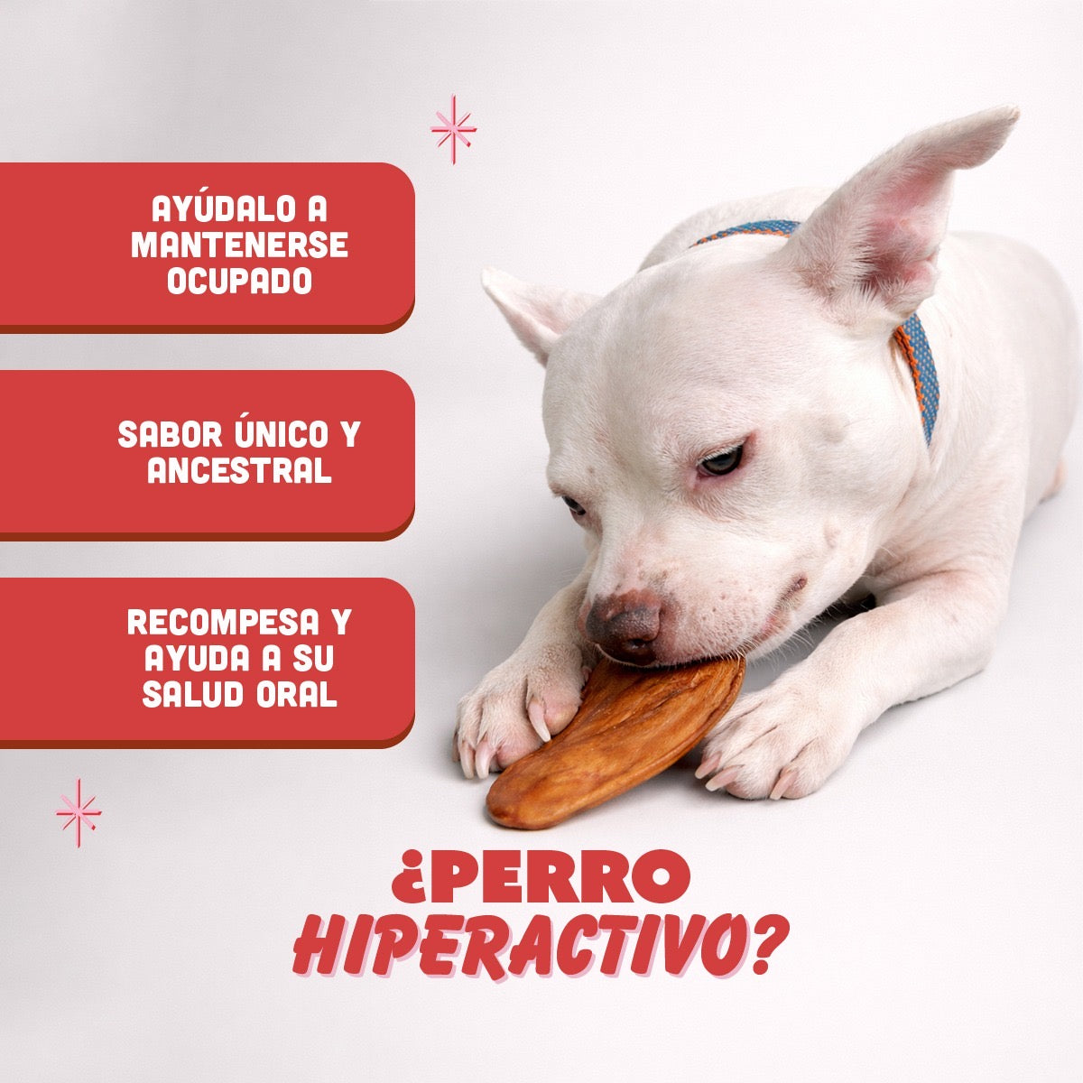 🐷 Oreja de Cerdo PANXO 100% Natural | Snack Premium para Perros | 150g