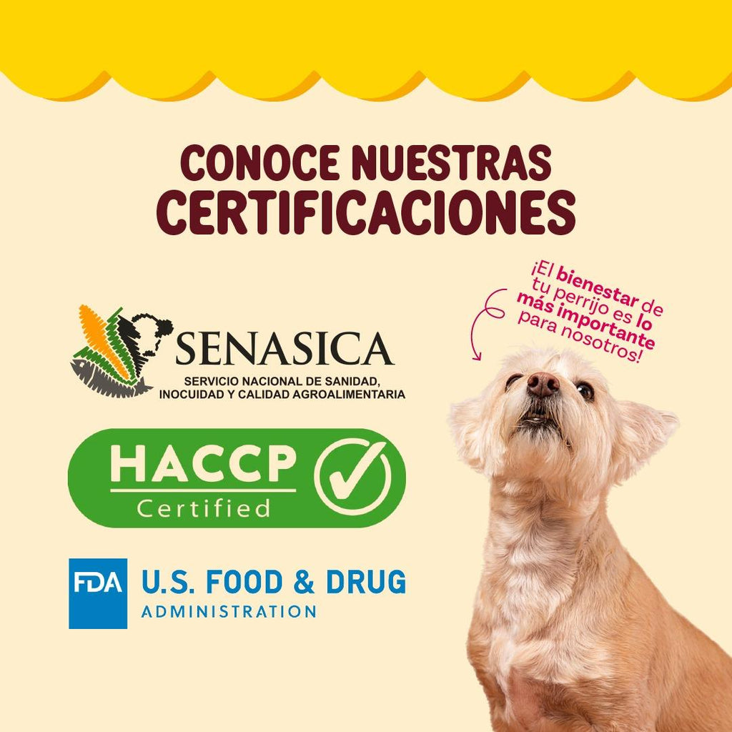 🐶 Biscuits de Camote Tentempié | Snack Natural para Perros | 80 g