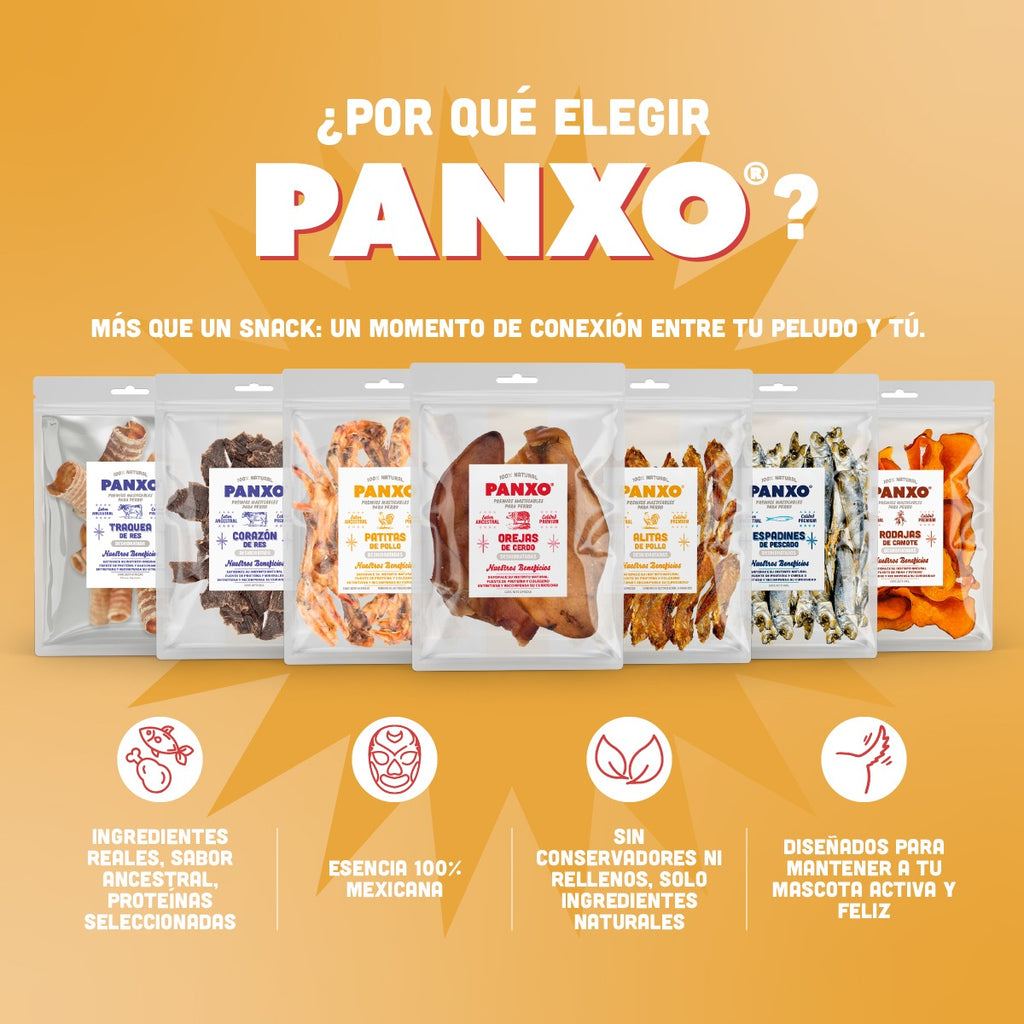 🐶 Patas de Pollo PANXO 100% Natural | Snack Premium para Perros | 150g