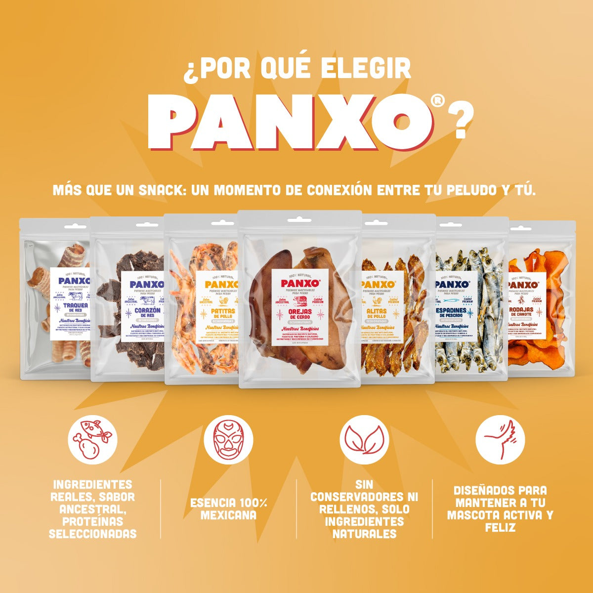 🐶 Patas de Pollo PANXO 100% Natural | Snack Premium para Perros | 150g